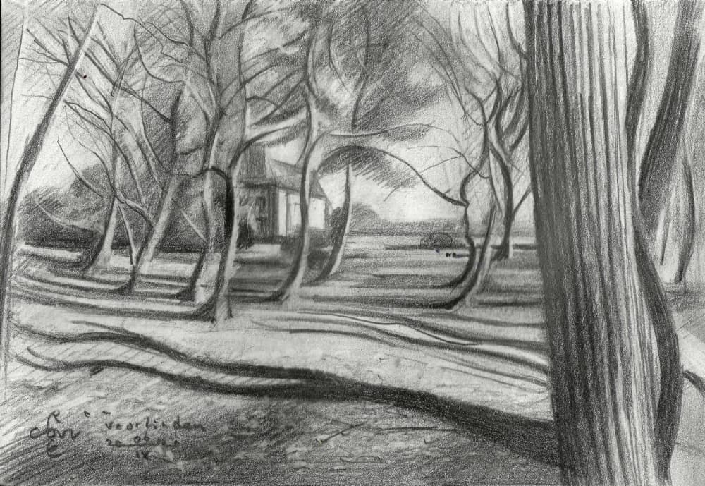 Winter Forest Shadows by Corné Akkers — canvas wall art