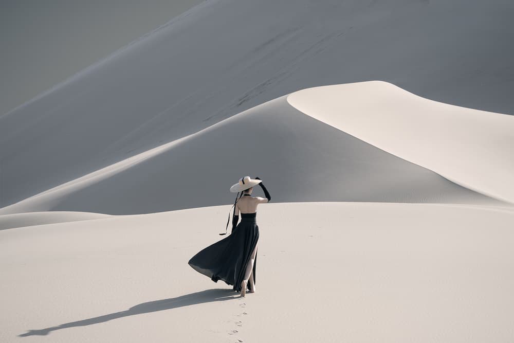 White Dune Elegance by Bingo Z — canvas wall art