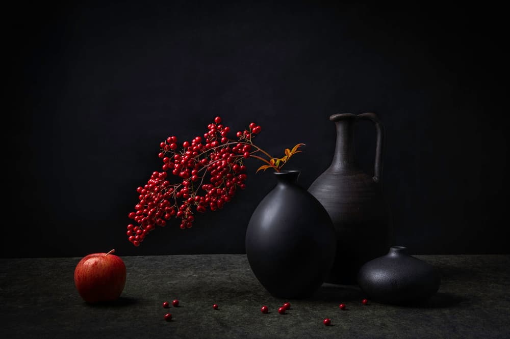 Moody Berries Still Life by Binbin L. — canvas wall art