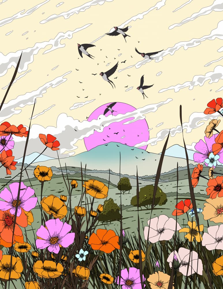 Swallows Pink Sunset Meadow by Nicholas — canvas wall art