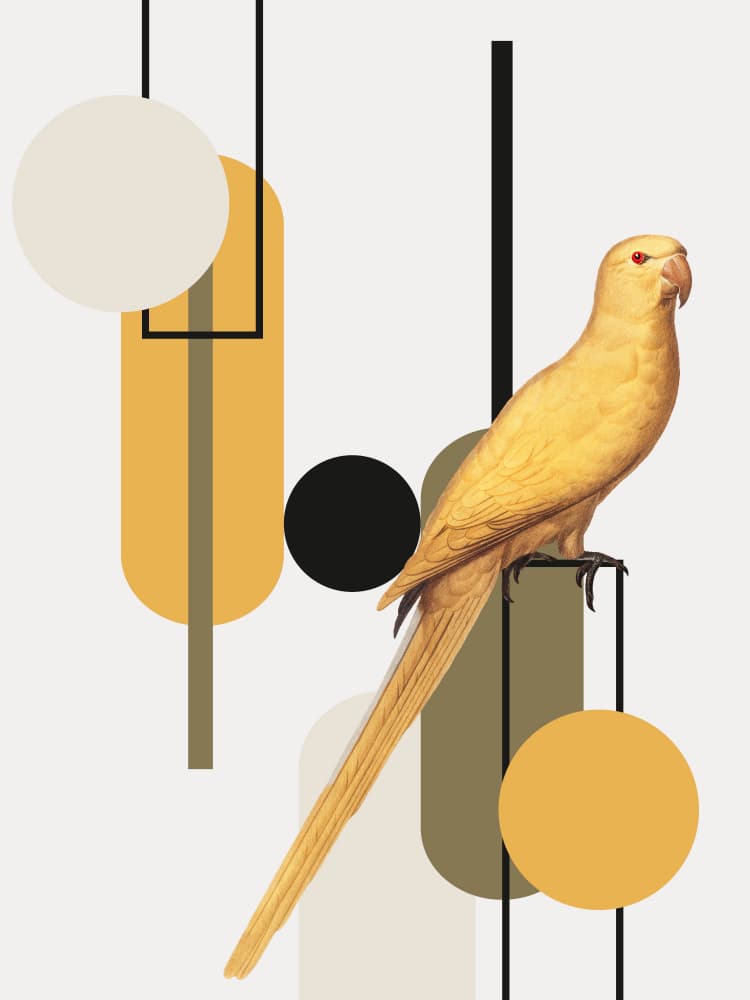 Golden Parrot Shapes by Marja van den Hurk — canvas wall art