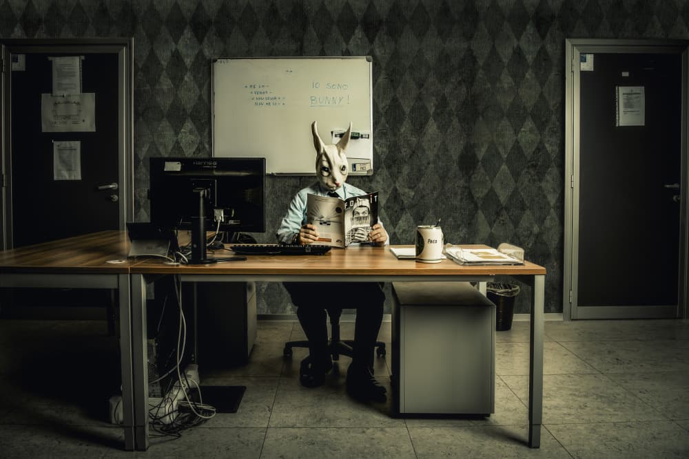 Office Bunny Reading by Pasquale Guerra — canvas wall art