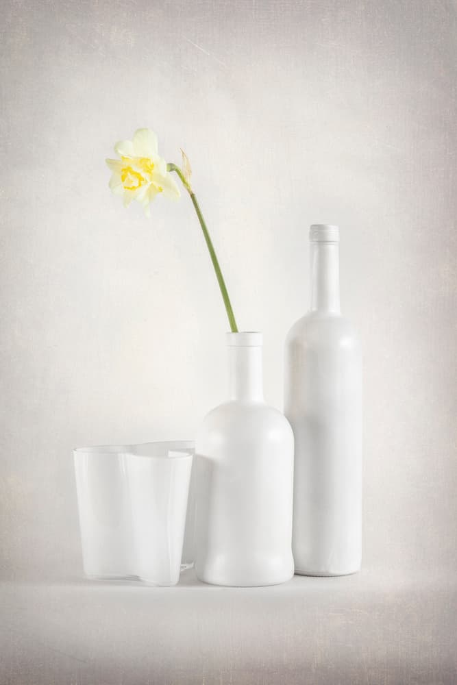 White Daffodil Still Life by Richie Hatch — canvas wall art