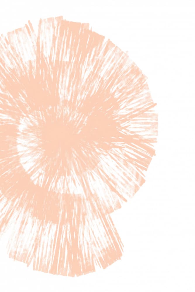 Soft Peach Spiral by Martina — canvas wall art