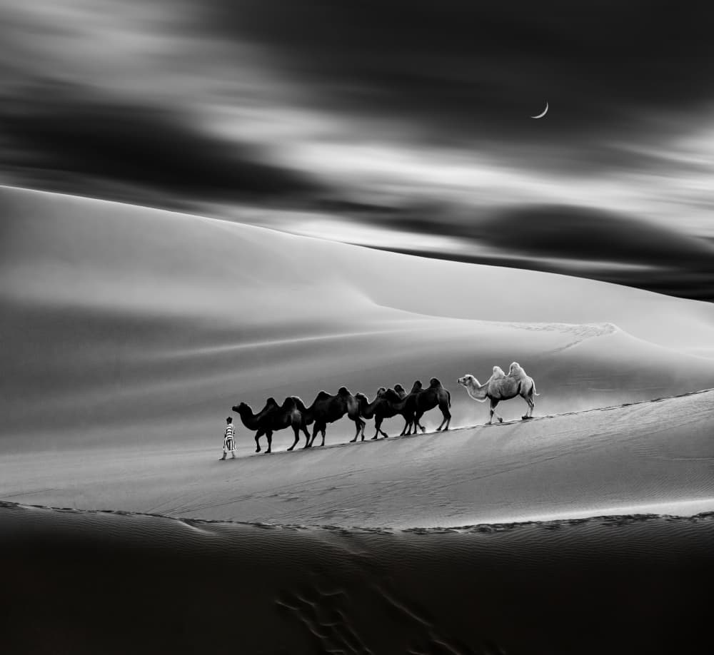 Moonlit Desert Caravan by Hsiao-Yang Fei — canvas wall art