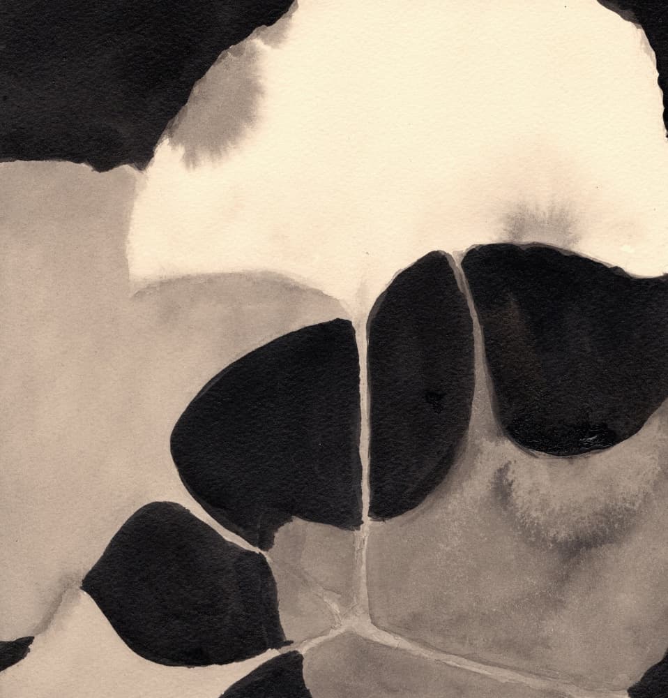 Organic Monochrome Shapes by Janel Bragg — canvas wall art