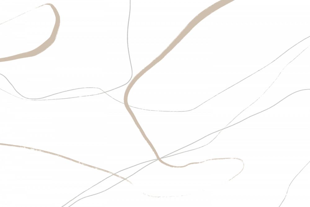 Beige And Gray Lines On A White Background by uplusmestudio — canvas wall art
