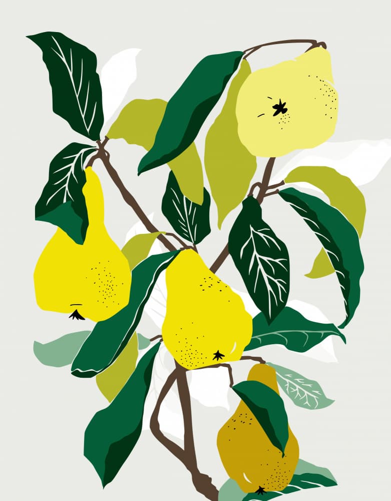 Vibrant Pear Tree by Annick — canvas wall art