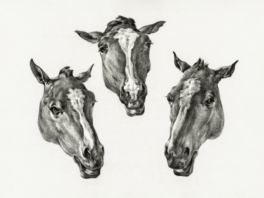 Three Horse Heads (1812)