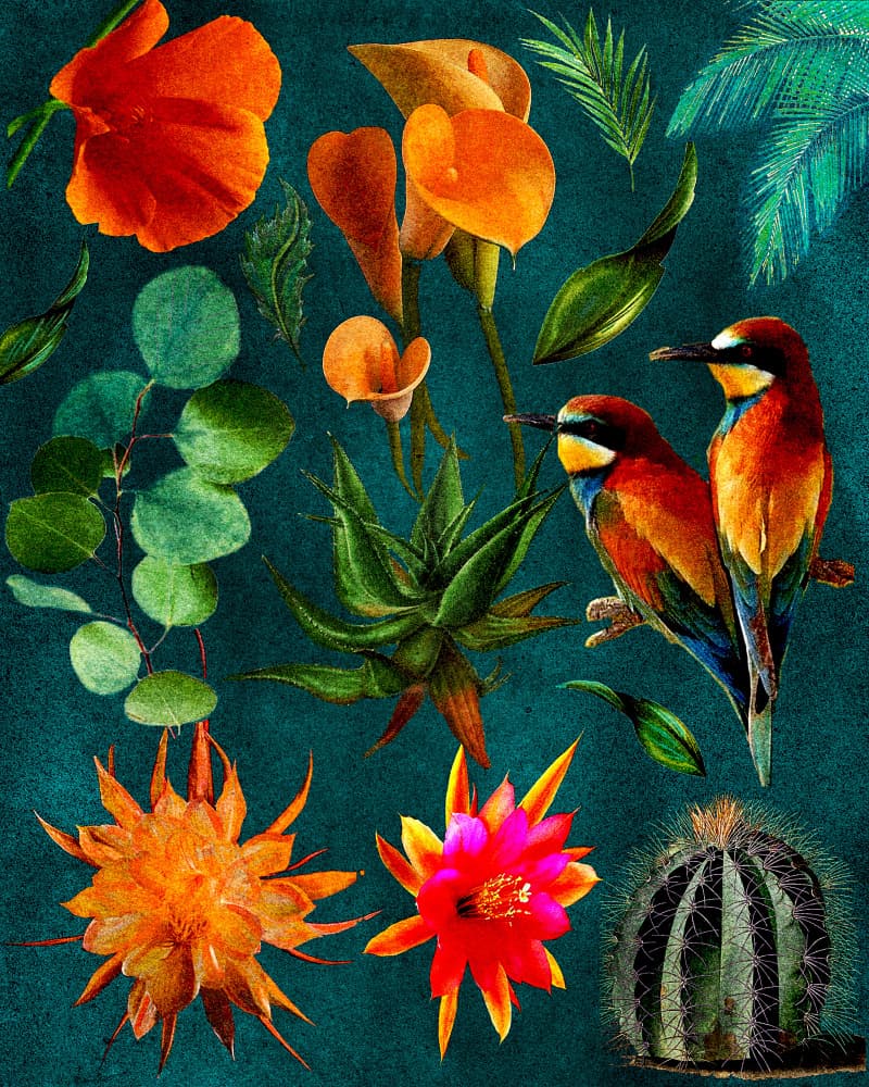 Tropical Birds and Blooms by giovanna nicolo — canvas wall art