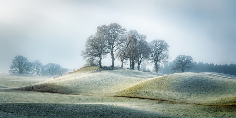 Frosted Winter Hills by Ulrike Eisenmann — canvas wall art