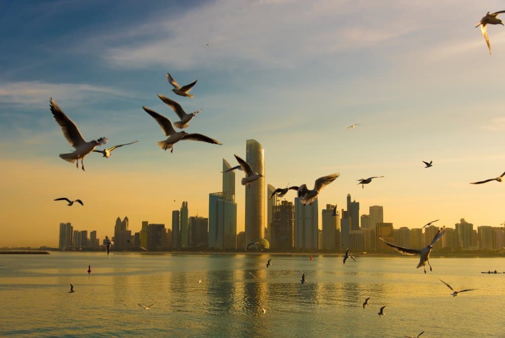 Golden Hour Seagulls by Mrinal Nath — canvas wall art