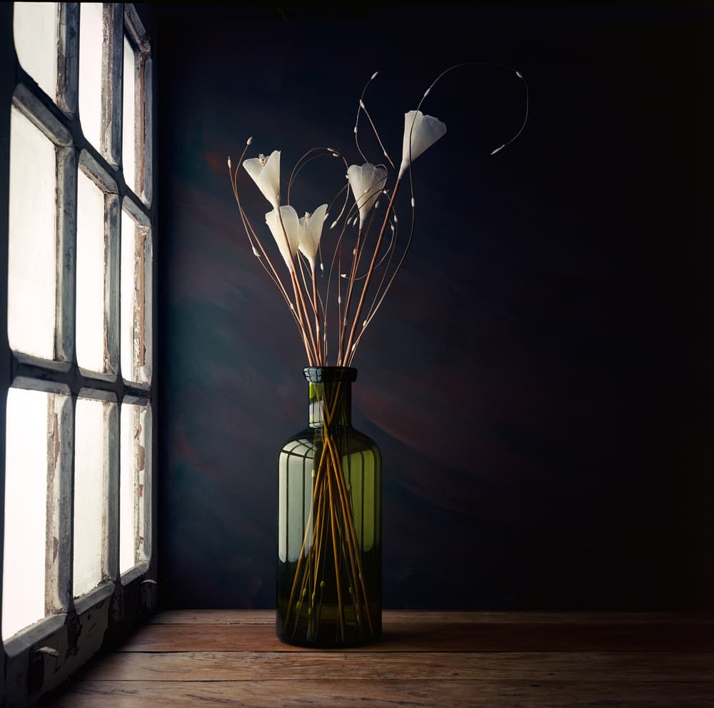 Window Light Still Life by Luiz Laercio — canvas wall art