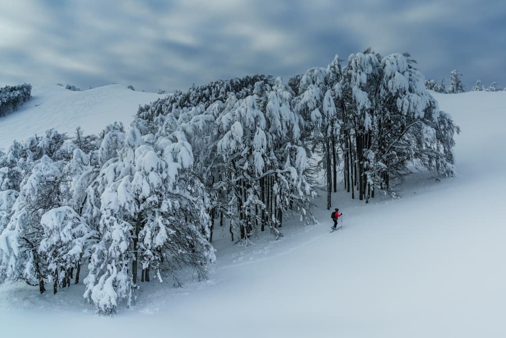 Winter Wonderland Skier by Aleš Klabus — canvas wall art
