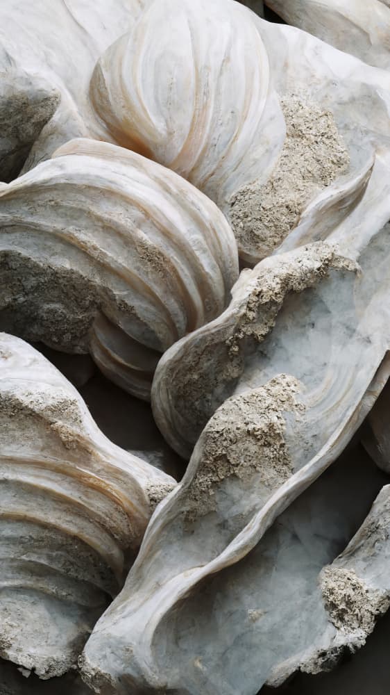 Shell Symphony by Treechild — canvas wall art