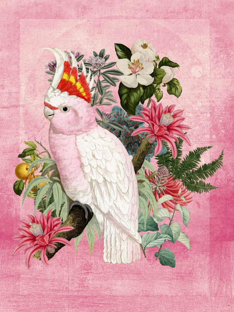 Pink Cockatoo Tropical Bloom by Marja van den Hurk — canvas wall art