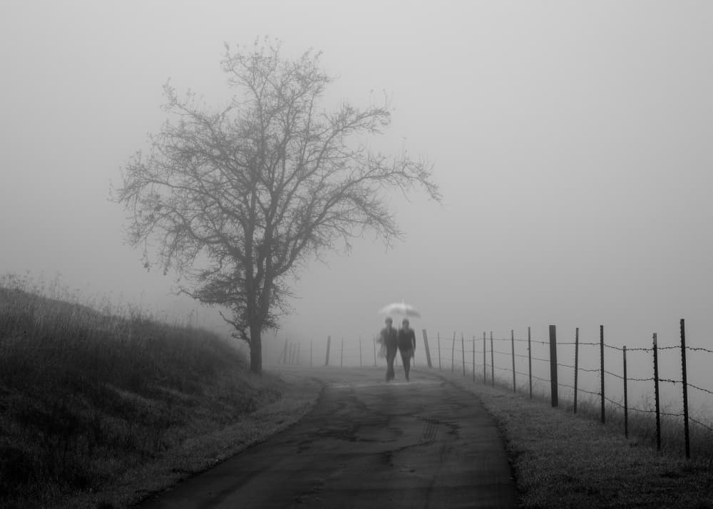 Misty Country Walk by Shin Woo Ryu — canvas wall art
