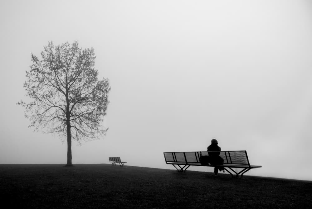 Misty Morning Solitude by Magdalena Roeseler — canvas wall art