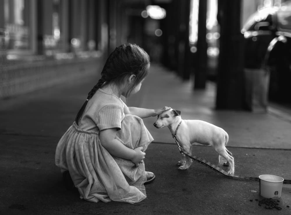 Girl and Her Puppy by Leechee Z — canvas wall art