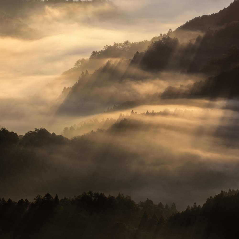 Golden Mountain Fog by Takafumi Yamashita — canvas wall art