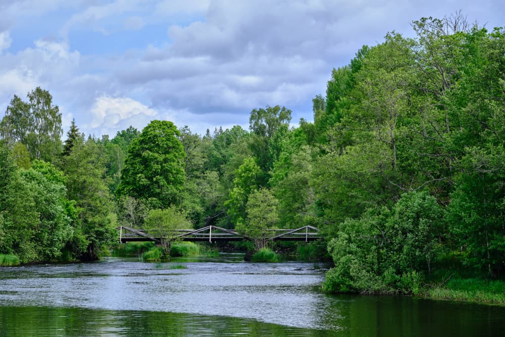 Peaceful Forest River by Geertjan Plooijer — canvas wall art