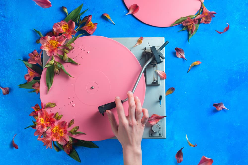 Pink Vinyl Blooms by Dina Belenko — canvas wall art