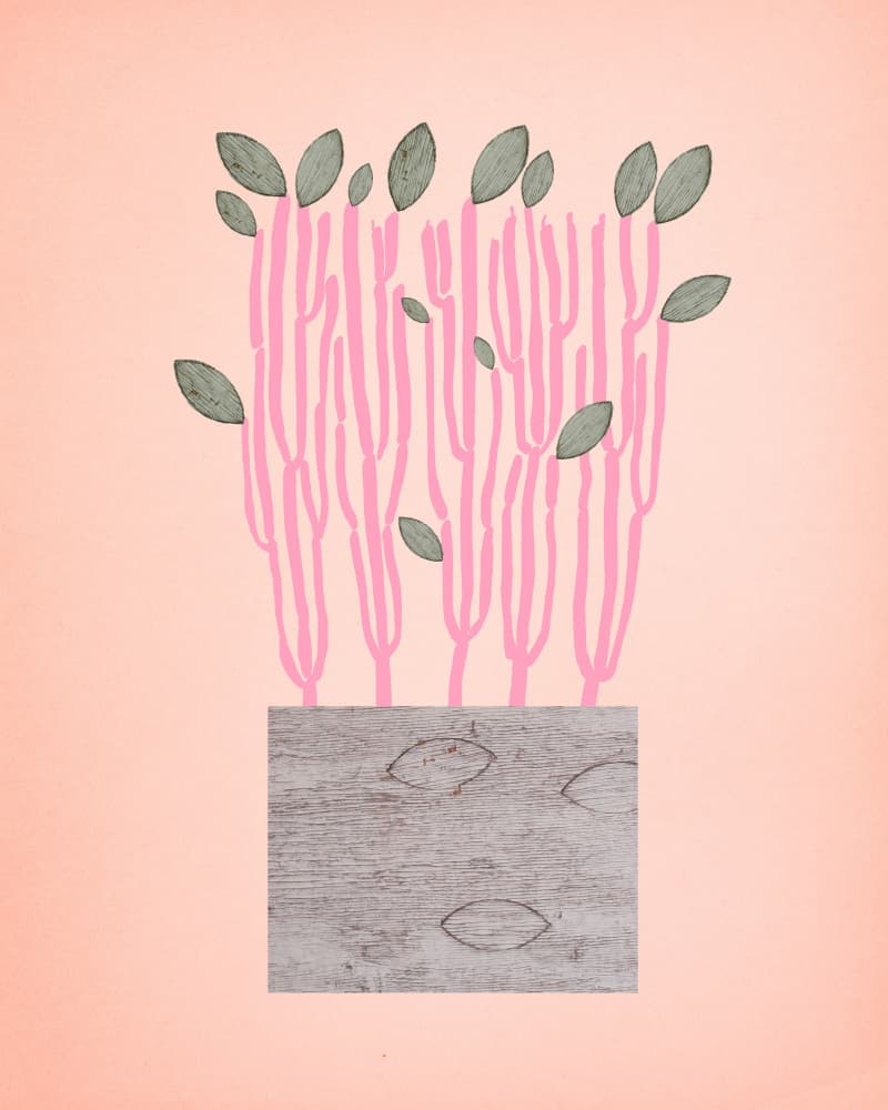 Botanical Pink Stems by Diana Jahns — canvas wall art