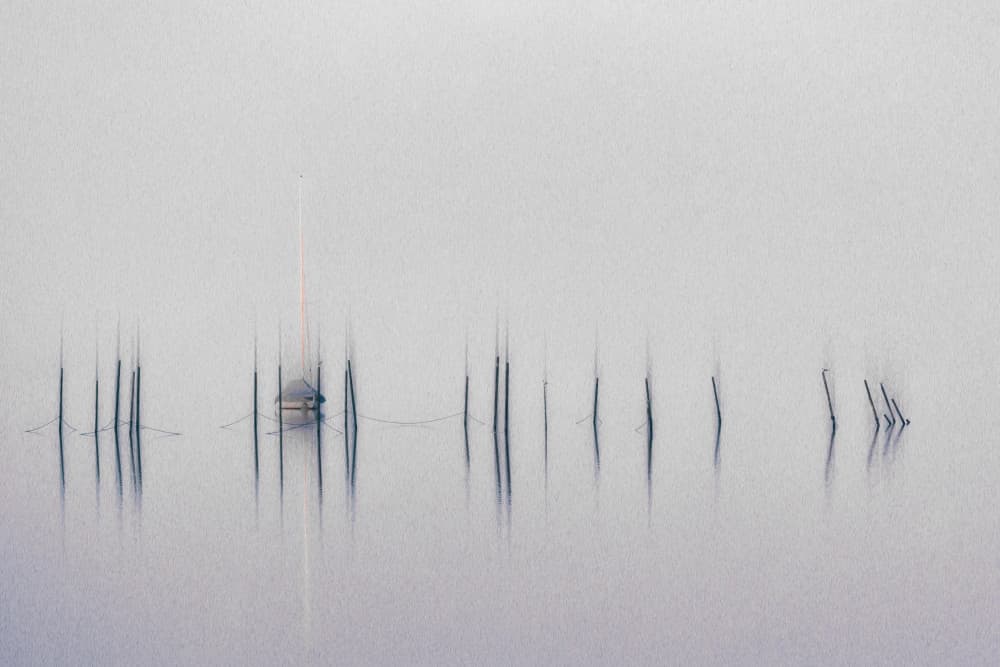 Misty Harbor Pilings by Roswitha Schleicher-Schwarz — canvas wall art