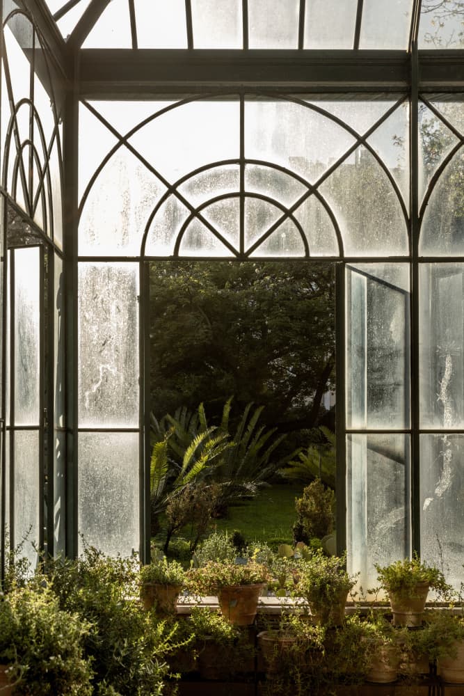 Botanical Garden 2 by Mareike Böhmer — canvas wall art