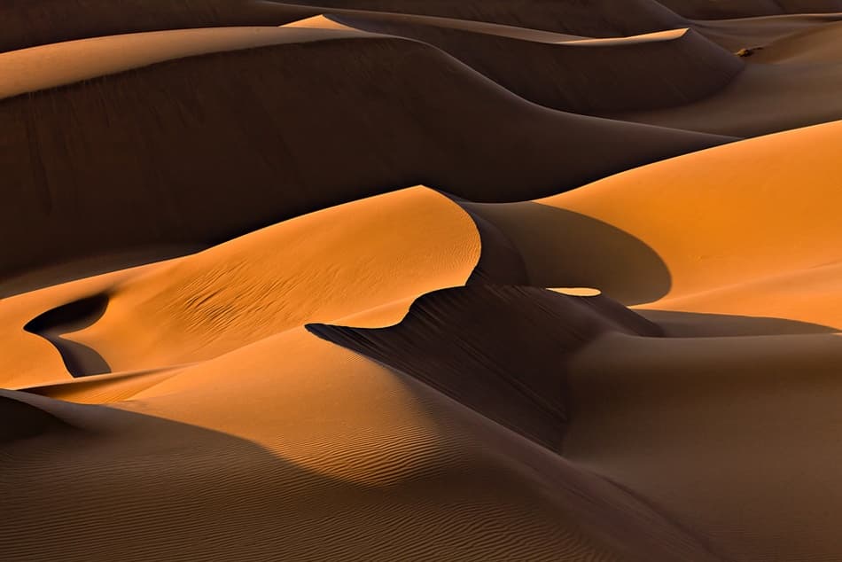 Golden Desert Dunes by Mohammadreza Momeni — canvas wall art