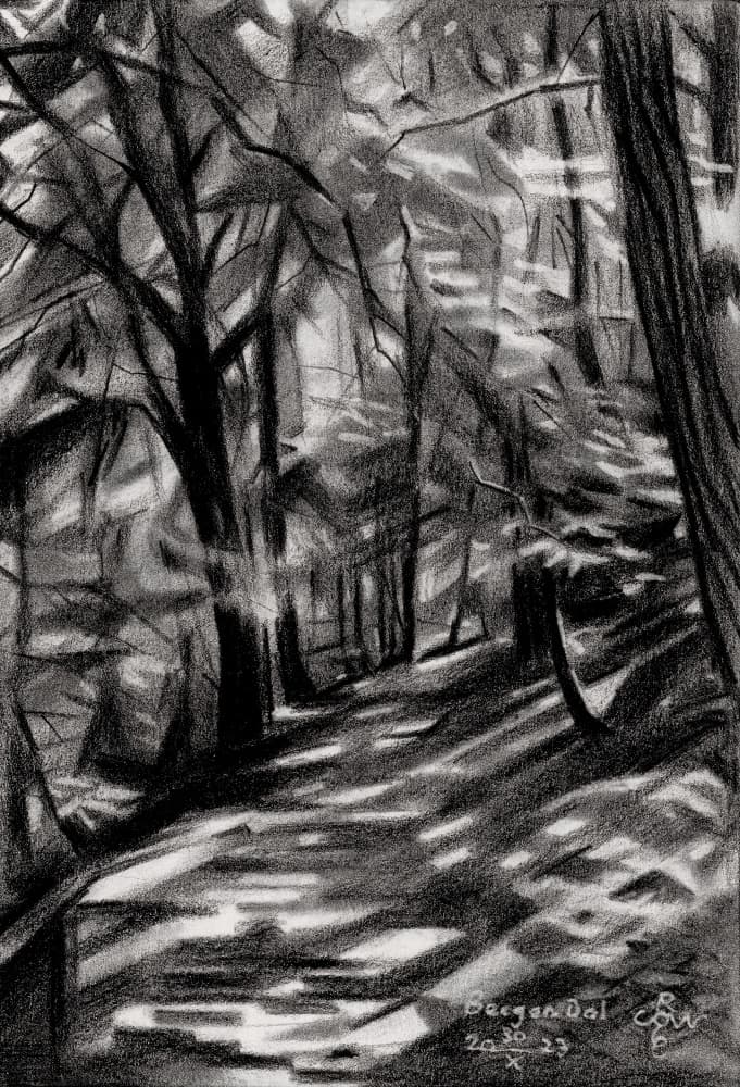 Sunlit Forest Path by Corné Akkers — canvas wall art