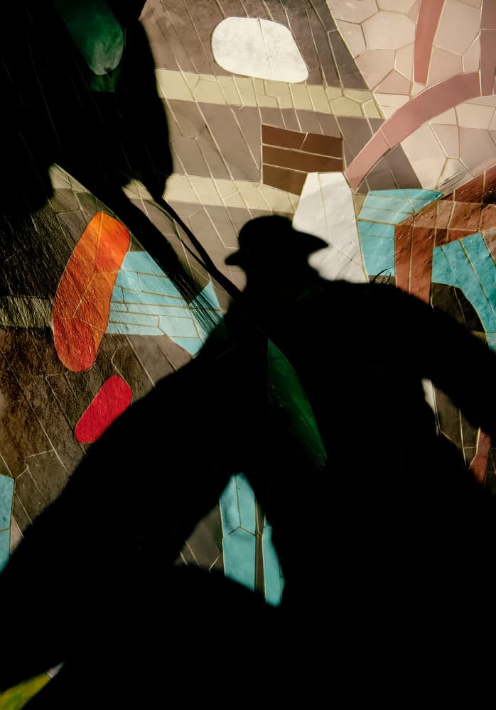 Mysterious Shadow Mosaic by Shenshen Dou — canvas wall art