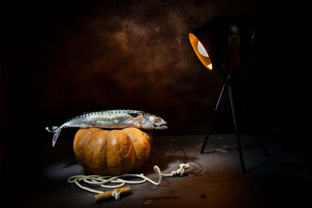 Dramatic Fish and Pumpkin by Felice Angelino — canvas wall art