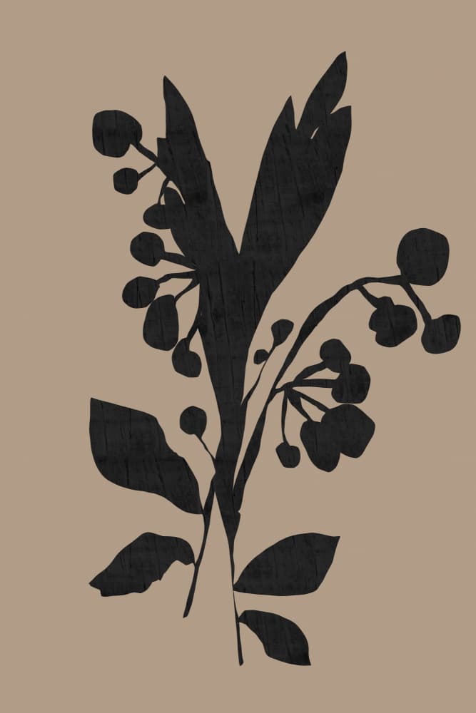 Dark Botanical Silhouette by cartissi — canvas wall art