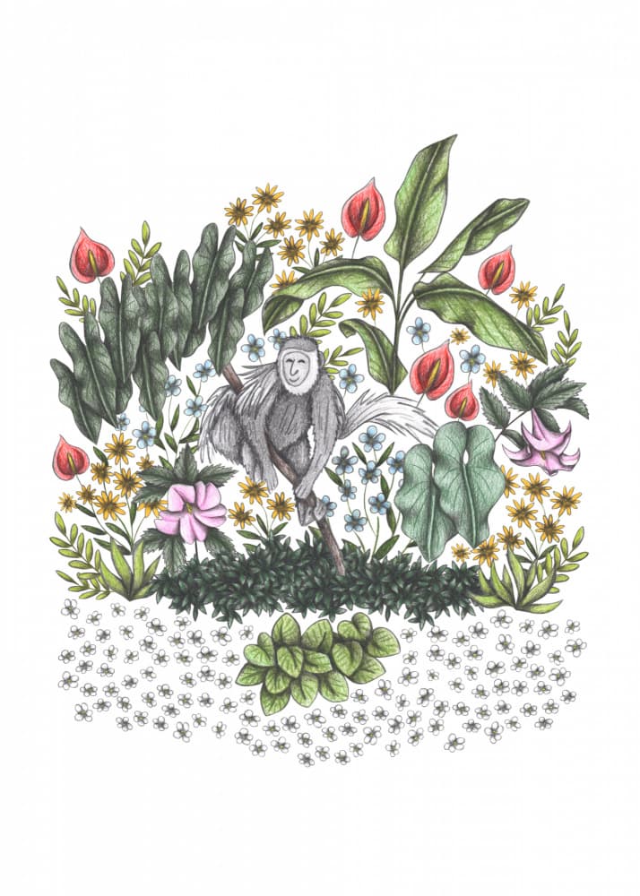 Vibrant Tropical Monkey by Cecilia Battaini — canvas wall art