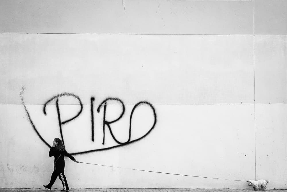 Urban Dog Walk Graffiti by Oleg Dudko — canvas wall art