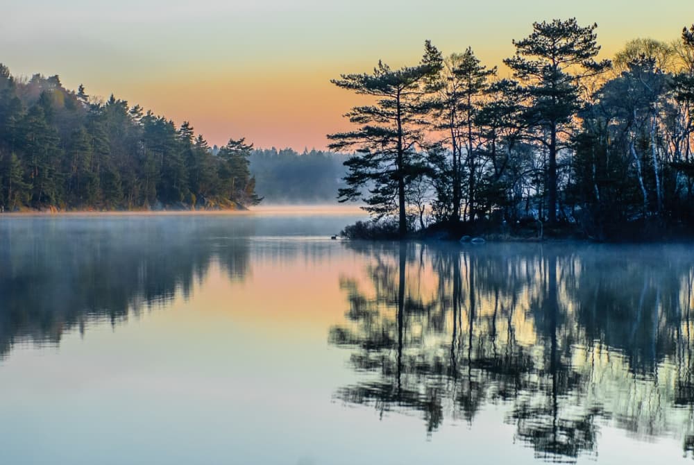 Serene Morning Reflections by Benny Pettersson — canvas wall art