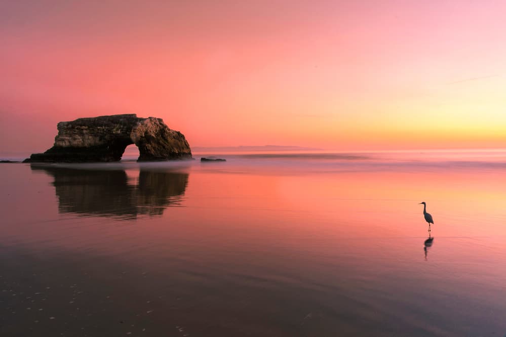 Natural Bridge Heron Sunset by Rob Li — canvas wall art