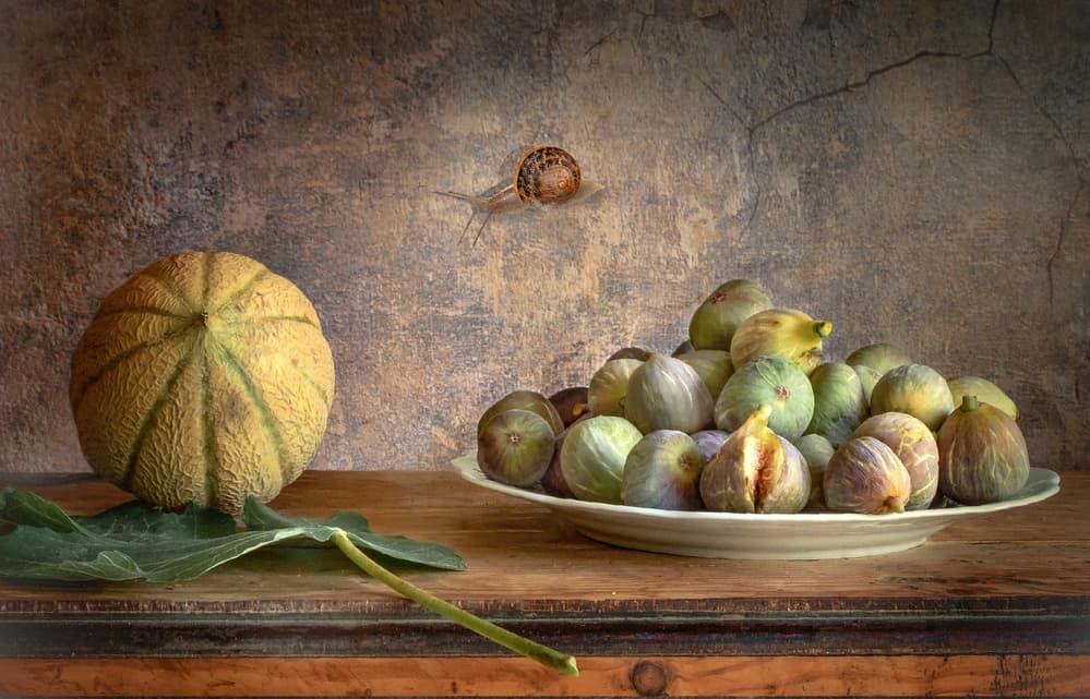 Cantaloupe Figs Snail by Christian MARCEL — canvas wall art