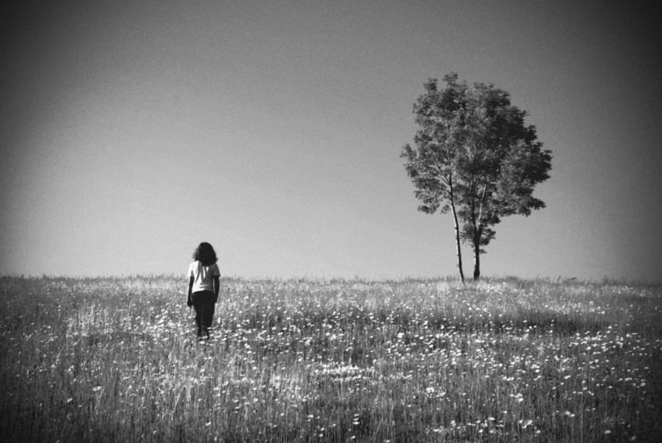 Lone Child Open Field by Codrin Lupei — canvas wall art