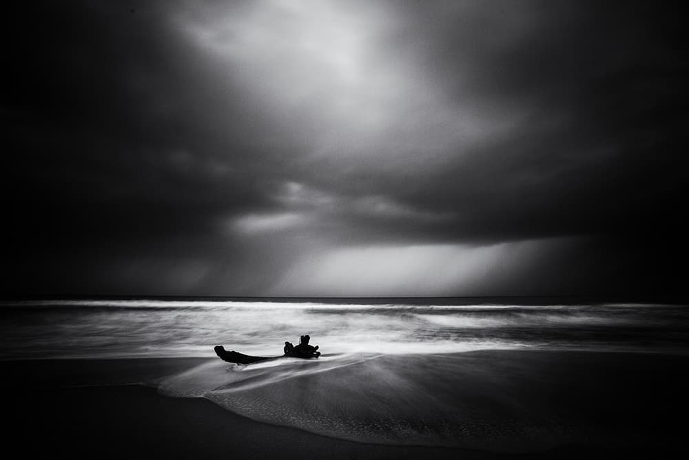Stormy Beach Driftwood by Massimo Della Latta — canvas wall art