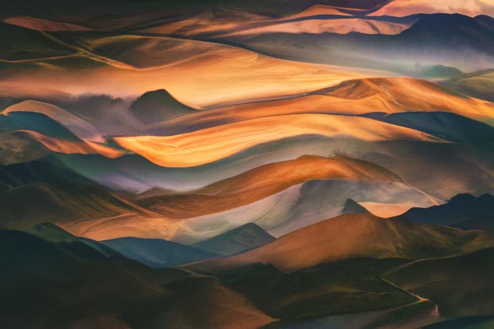 Golden Rolling Hills by Robin Wechsler — canvas wall art