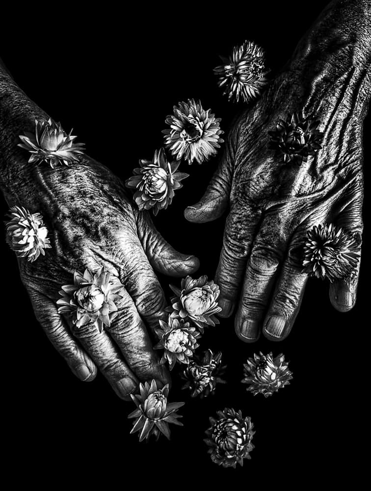 Aged Hands Dried Flowers by Ingrida Urbonavičienė — canvas wall art
