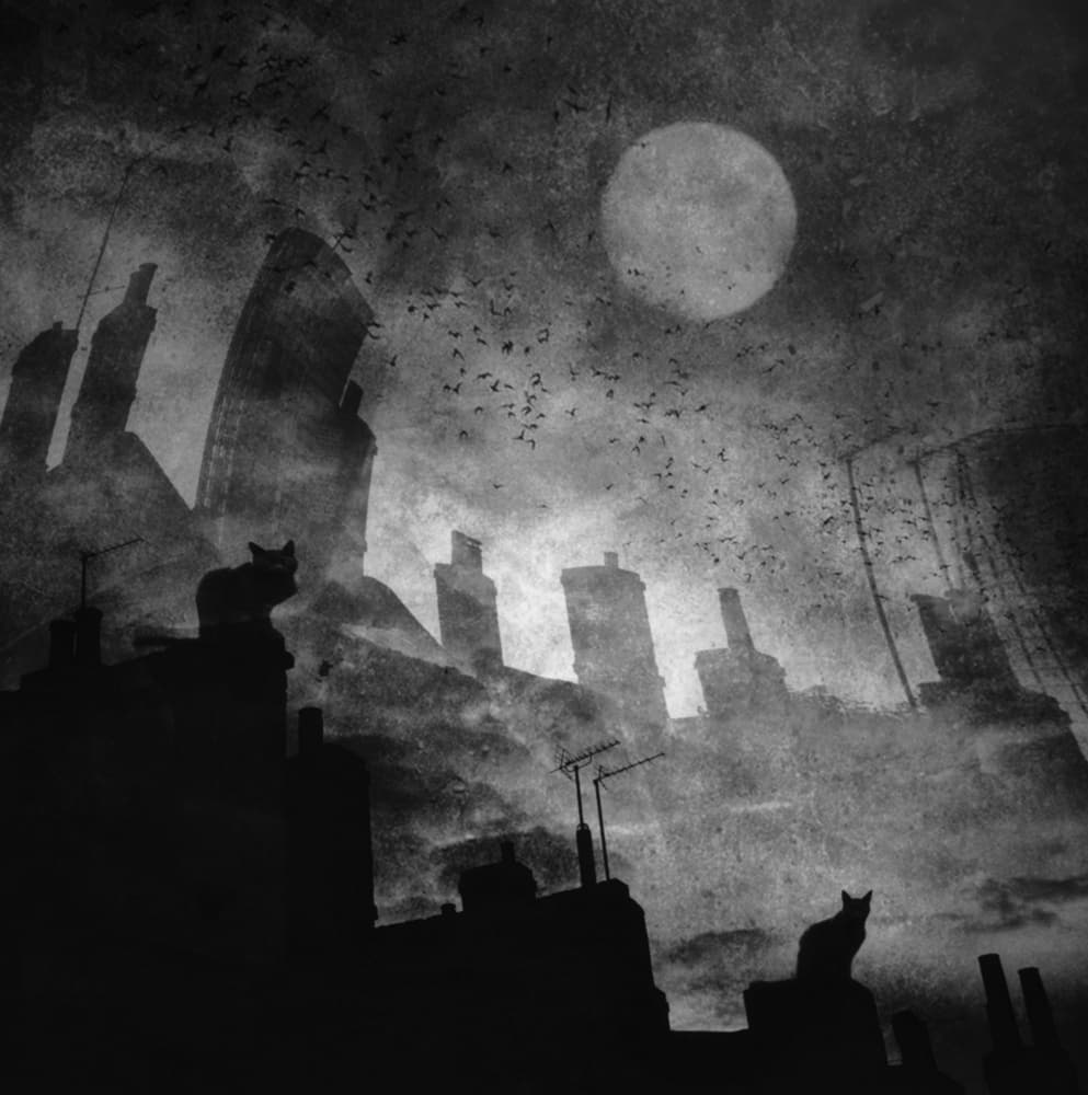 Mysterious Rooftop Cats by Robert Fabrowski — canvas wall art