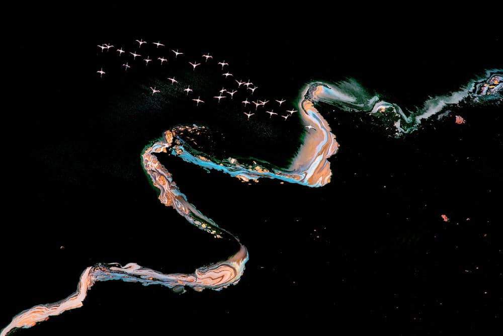 Flying Flamingos Vibrant Flow by Leah Xu — canvas wall art
