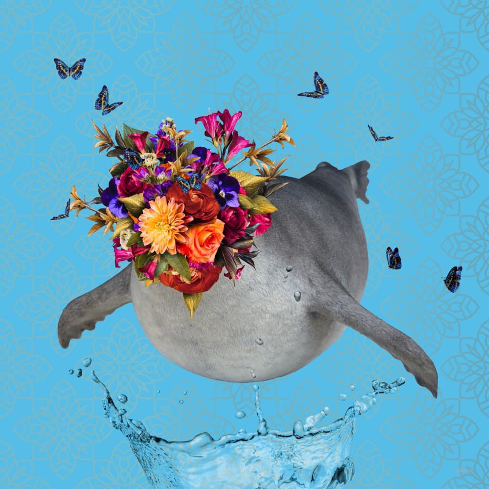 Whimsical Sea Blooms by Sue Skellern — canvas wall art