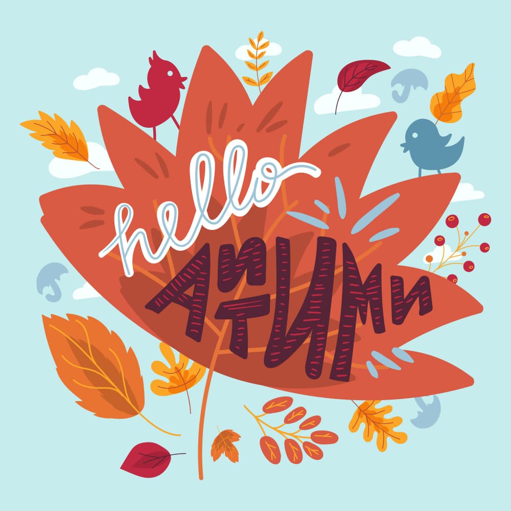 Hello Autumn Maple Leaf by Marika Barsrsind — canvas wall art