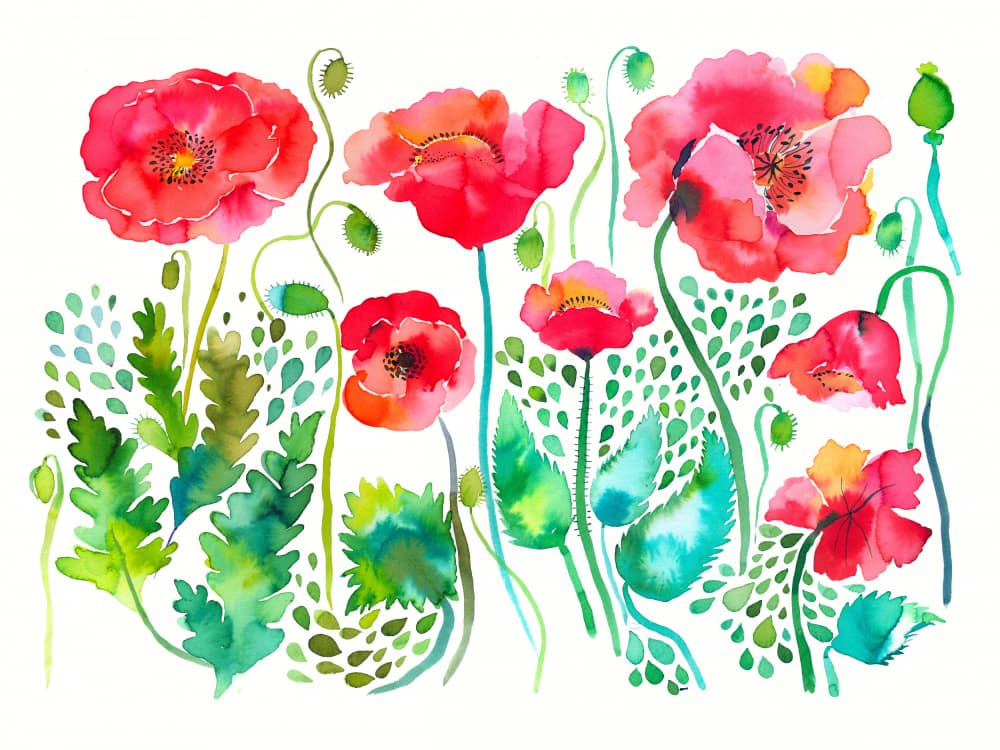 Vibrant Watercolor Poppies by Ninola Design — canvas wall art