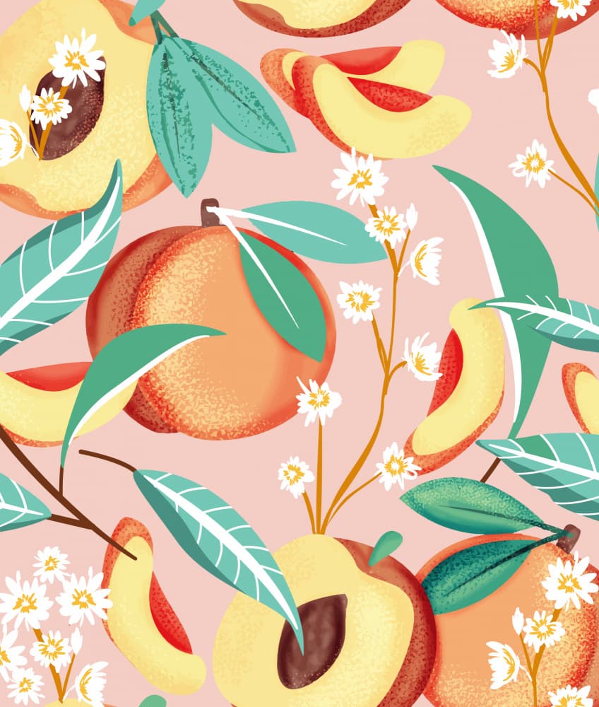 Summer Peaches Bloom by Uma Gokhale — canvas wall art