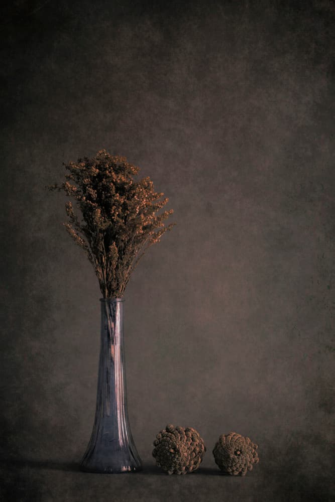 Dried Botanical Still Life by Cicek Kiral — canvas wall art